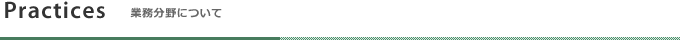 業務分野